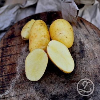 Sättpotatis, 7 for 7, 1 kg