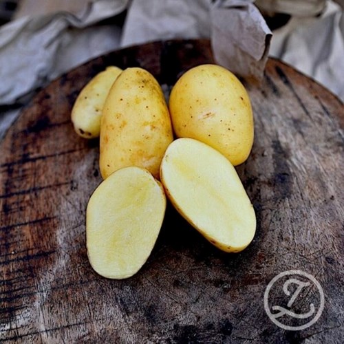 Sättpotatis, 7 for 7, 1 kg