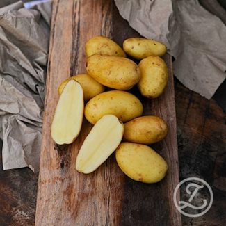Sättpotatis, La Vie, 1 kg