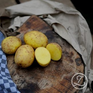 Sättpotatis, Merle, eko, 1 kg