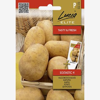Potatis, Soltastic F1