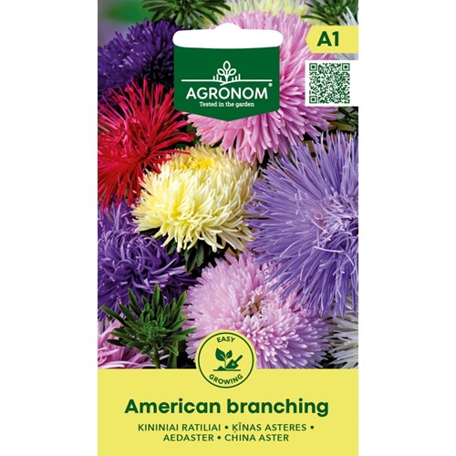 Aster, American Branching