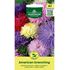 Aster, American Branching