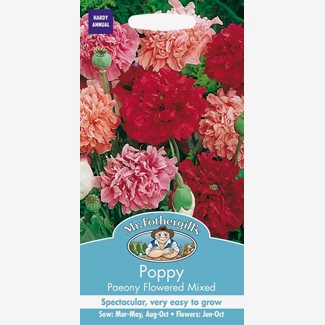 Vallmo, Opievallmo, Paeony Flowered mixed