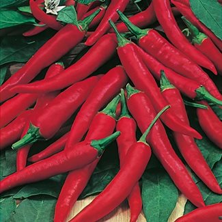 Chili, De Cayenne