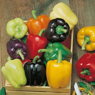 Paprika, Colour Spectrum