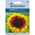 Solros, Solar Power F1