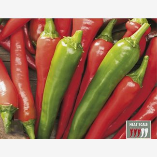 Chili, De Cayenne
