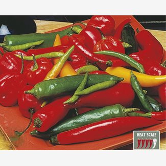 Chili, Caribbean Blend