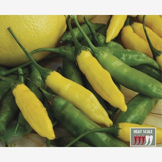 Chili, Lemon