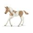 Schleich Häst, paint - föl