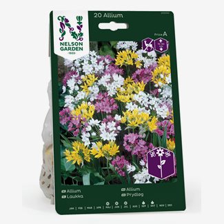 Allium, Blandade sorter