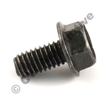 Flange screw