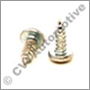 Screw (much better price at 10 & 20 pcs)