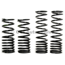 Lowering spring kit Amazon 120/130 (lowers approx. 25-35 mm)