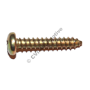 Screw