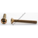 Taillamp screw, PV 544 lower