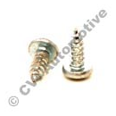 Screw (much better price at 10 & 20 pcs)