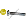 Taillamp screw, P1800/S/E (stainless steel)    (8/car)