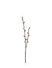 Vide 57 cm