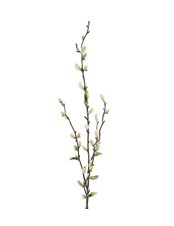 Vide 85 cm