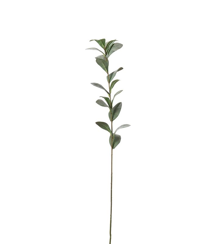 Ruscus 77 cm