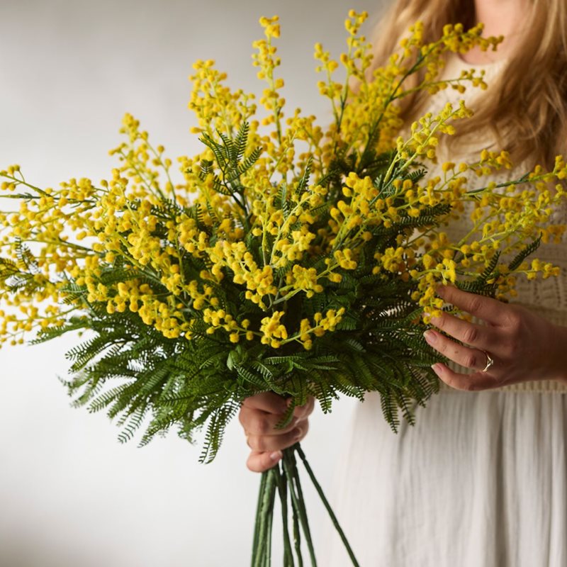 Mimosa 68 cm