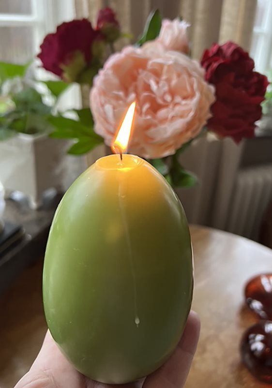 Gåsägg matt