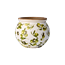 Olive kruka