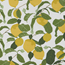 Limone CTC-duk