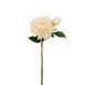 Tvåstänglad dahlia