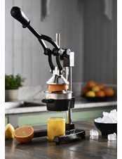 Juicepress i gjutjärn
