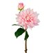 Tvåstänglad dahlia