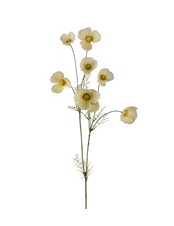 Rosenskära