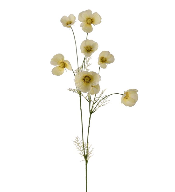 Rosenskära