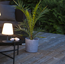 Bordslampa Kreta