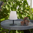 Bordslampa Kreta