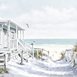 Servett Beach Cabin