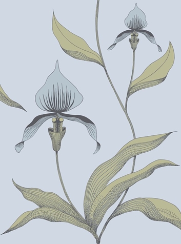Cole & Son Orchid Tapet