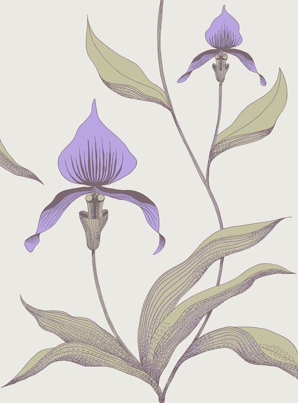Cole & Son Orchid Tapet