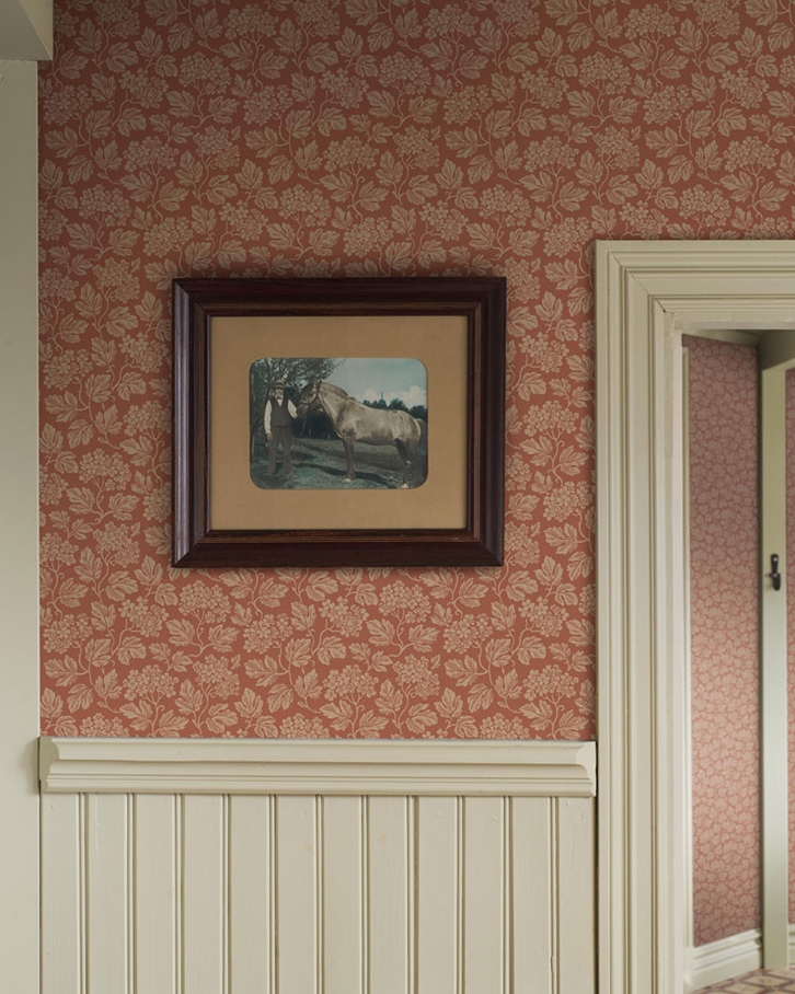 Boråstapeter Hagtorn Tapet