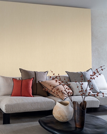 Casamance Shinok, Coquille Tapet