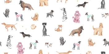 Sandberg Taiga and Friends Tapet