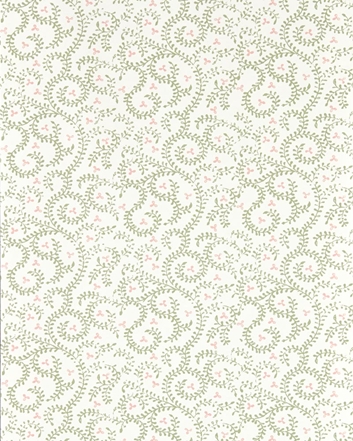 Clarke & Clarke Buta Tapet