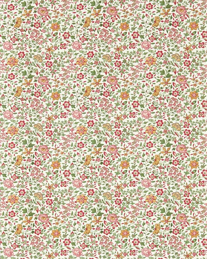 Clarke & Clarke Gamthi Tapet