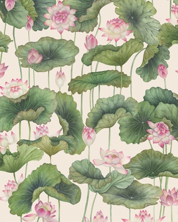 Cole & Son Lily Lotus Tapet