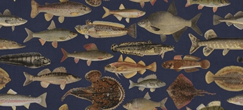 Sandberg Scandinavian Fishes Tapet