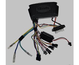 Kontrollenhet till e-motion Comfort 2016- ,36V Wave sine