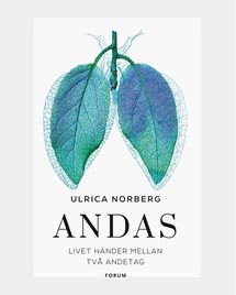 Andas Livet händer mellan två andetag - Ulrica Norberg