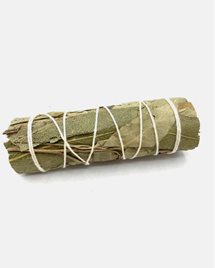 Salvia Smudge Stick - White Sage & Eucalyptus 10 cm